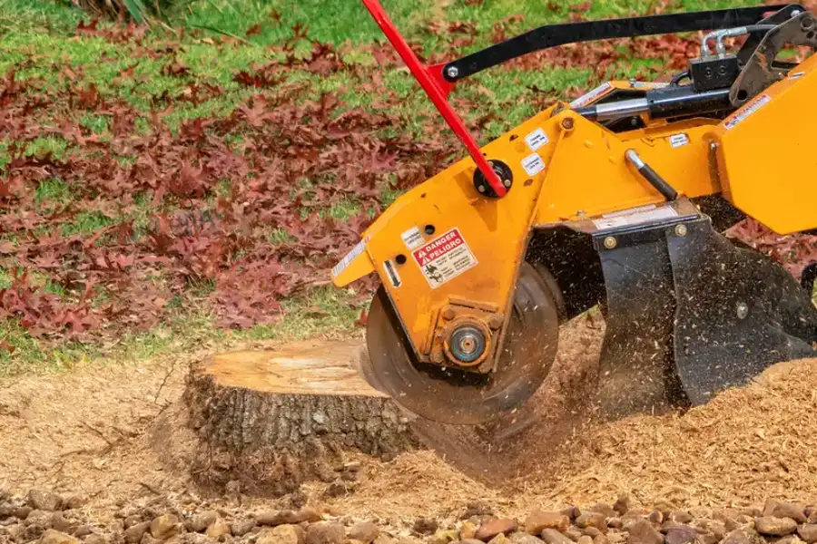 Affordable Stump Grinding Marietta, GA Affordable Stump Grinding Marietta, GA