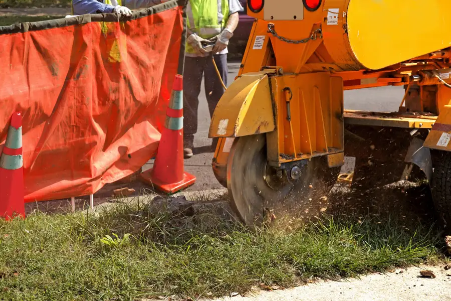 Excellent Stump Grinding Marietta, GA Excellent Stump Grinding Marietta, GA