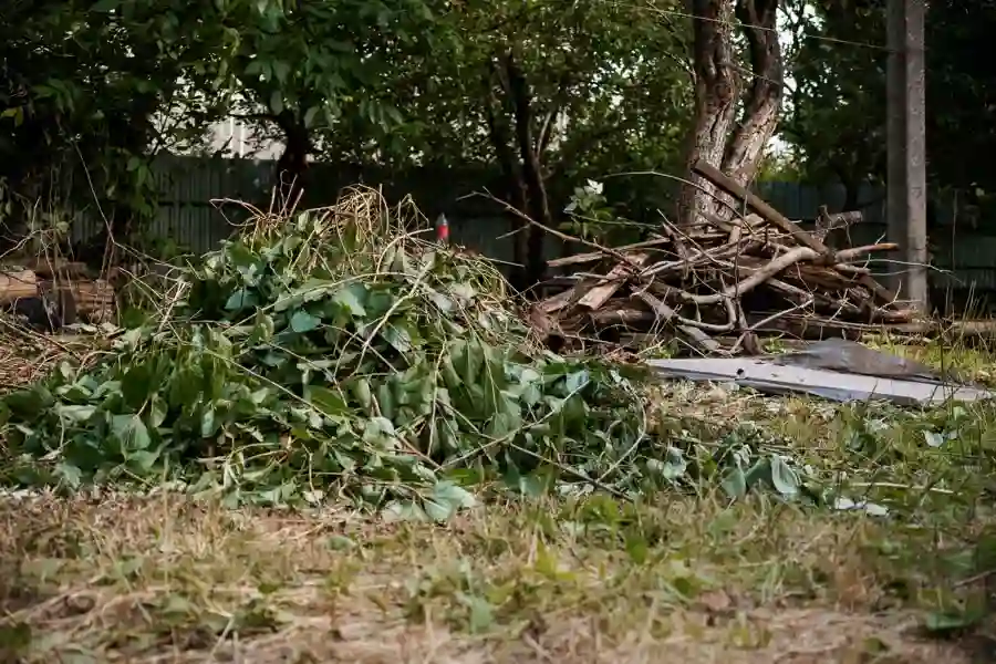 Experienced Storm Damage Cleanup in Marietta, GA Experienced Storm Damage Cleanup in Marietta, GA