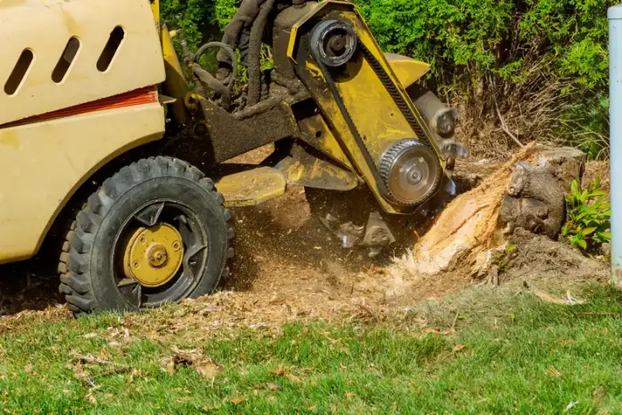 How Stump Grinding Can Enhance Your Curb Appeal Marietta, GA How Stump Grinding Can Enhance Your Curb Appeal Marietta, GA
