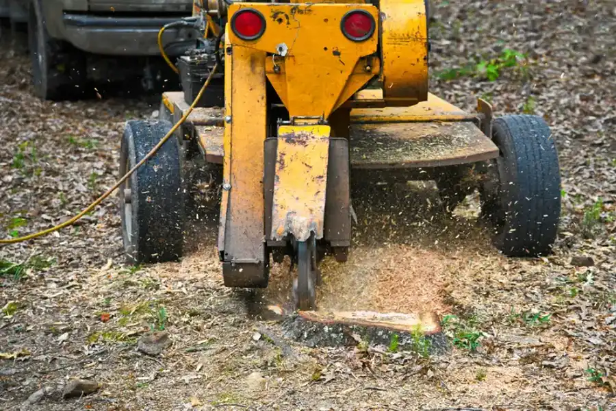 How Stump Grinding Can Enhance Your Curb Appeal in Marietta, GA How Stump Grinding Can Enhance Your Curb Appeal in Marietta, GA