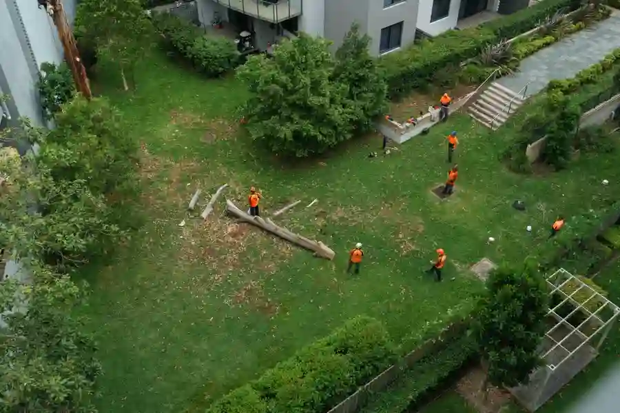 How to Restore Your Landscape After Severe Storm Damage Marietta, GA How to Restore Your Landscape After Severe Storm Damage Marietta, GA