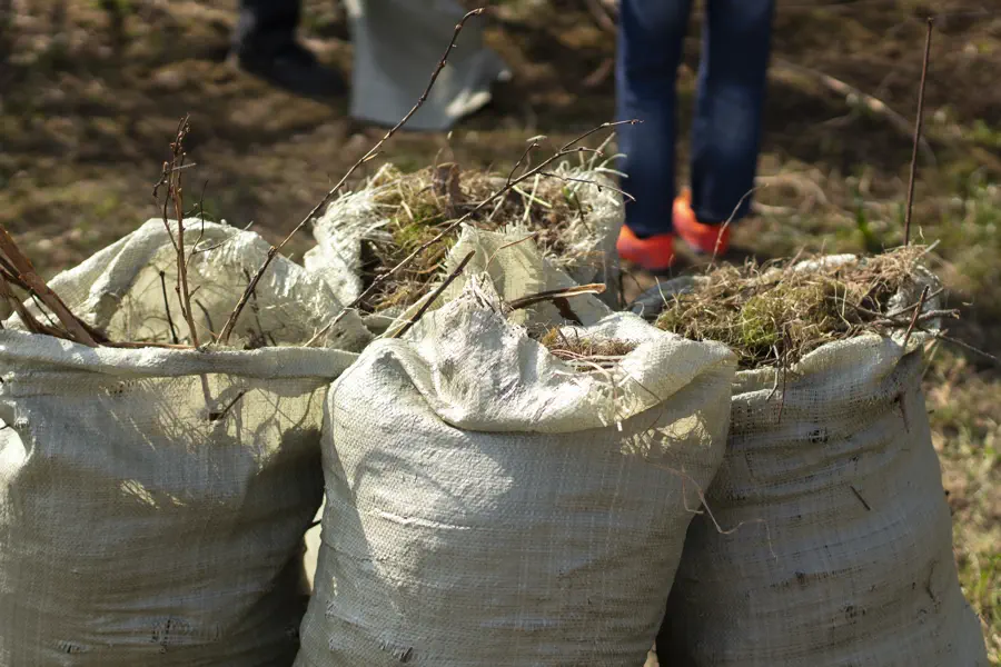 How to Restore Your Landscape After Severe Storm Damage in Marietta, GA How to Restore Your Landscape After Severe Storm Damage in Marietta, GA