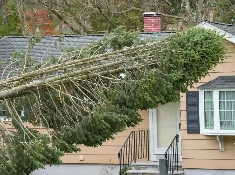 Reliable Storm Damage Cleanup in Marietta, GA Reliable Storm Damage Cleanup in Marietta, GA