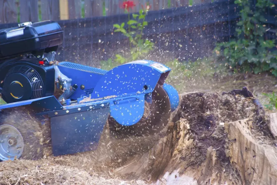 Superior Stump Grinding Marietta, GA Superior Stump Grinding Marietta, GA