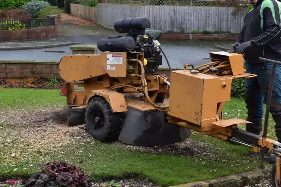 The Long-term Benefits Of Removing Stumps From Your Lawn Marietta, GA The Long-term Benefits Of Removing Stumps From Your Lawn Marietta, GA