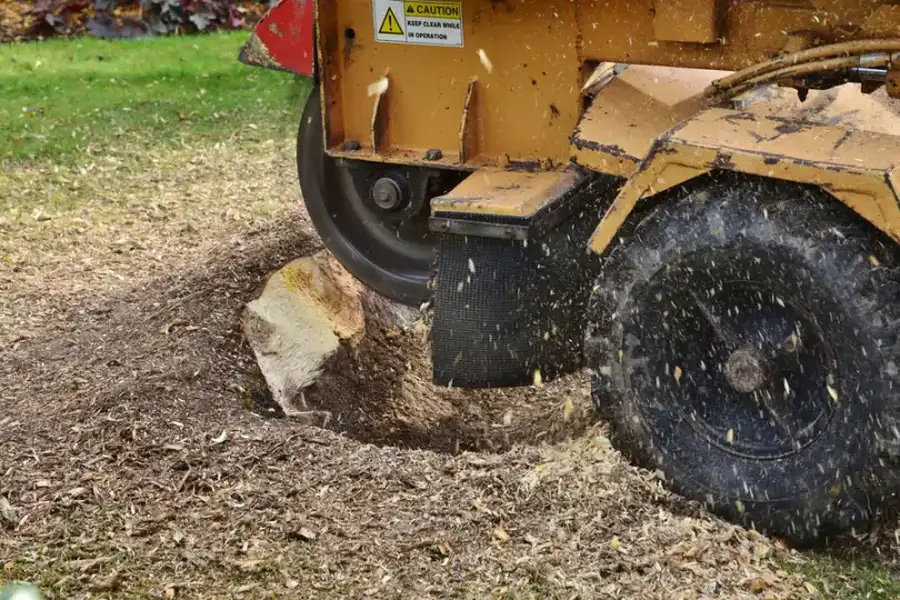 The Long-term Benefits Of Removing Stumps From Your Lawn in Marietta, GA The Long-term Benefits Of Removing Stumps From Your Lawn in Marietta, GA