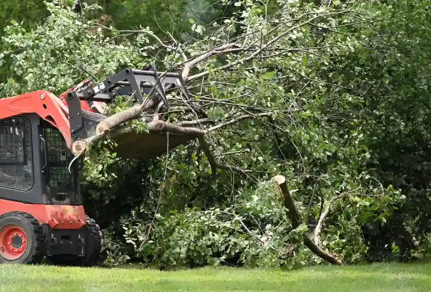 Understanding the Role of Emergency Tree Services in Marietta, GA Understanding the Role of Emergency Tree Services in Marietta, GA