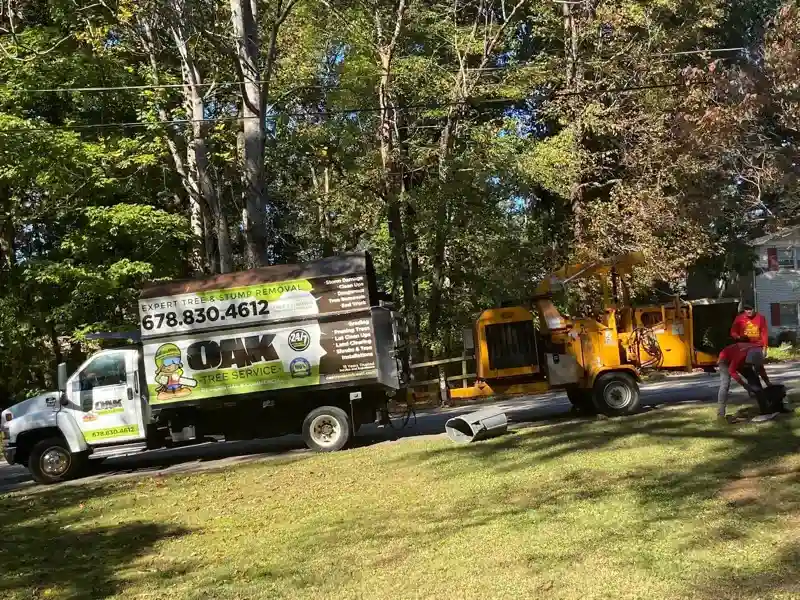 Trusted tree company in Marietta, GA